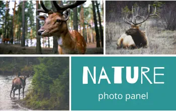 Nature photo panel